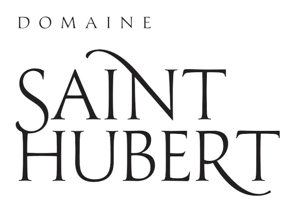 logo-removebg-preview