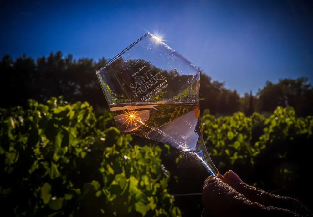 Domaine viticole à Pourrières